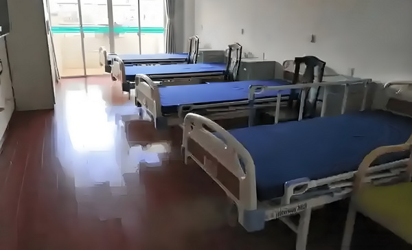 风华引