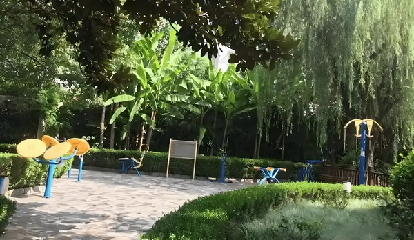 莫问相思