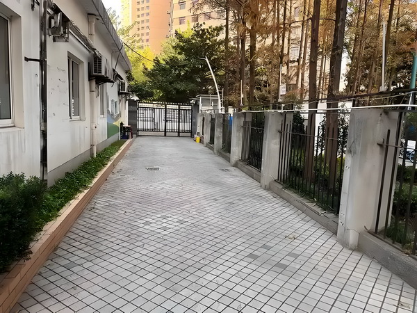 生命光辉